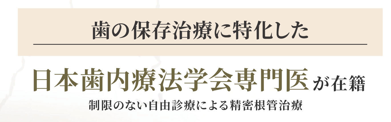 担当医紹介・診療案内バナー